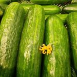 Ce se întâmplă atunci când alimentația sănătoasă nu este despre varză și avocado, ci despre accesibilitate: cum să te hrănești corect fără să-ți afectezi portofelul ce-se-intampla-atunci-cand-alimentatia-sanatoasa-nu-este-despre.jpg